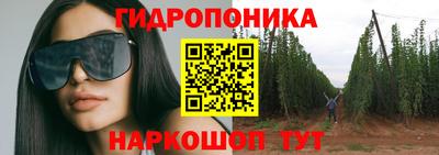 стаф Партизанск