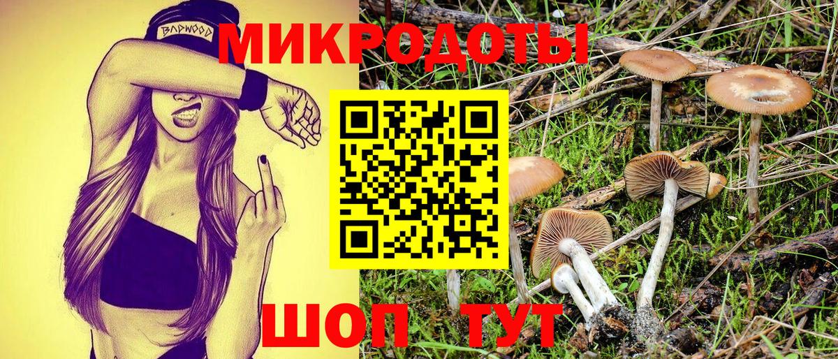 Галлюциногенные грибы мицелий  Псилоцибиновые грибы Psilocybine cubensis  Сергиев Посад  Вход с VPN 